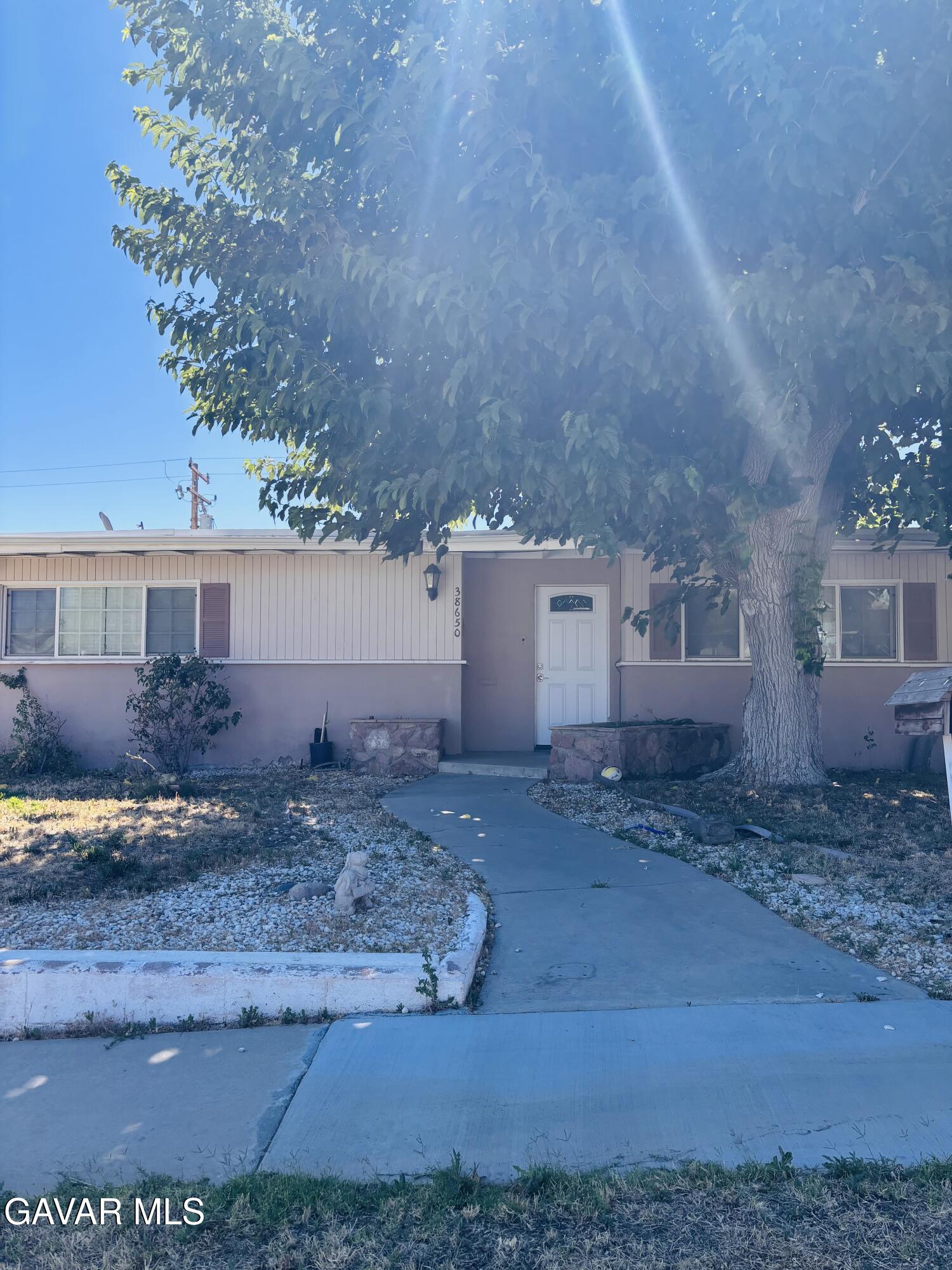 38650 Yucca Tree Street Palmdale, CA 93551 - Photo 1 of 20 IMG_9972