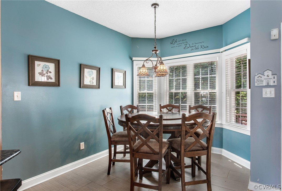 11906 Misty Spring Place Midlothian, VA 23112 - Photo 14 of 39 Gallery Image 14