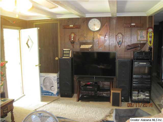 4679 Nubbin Creek Road Lineville, AL 36266 - Photo 15 of 18