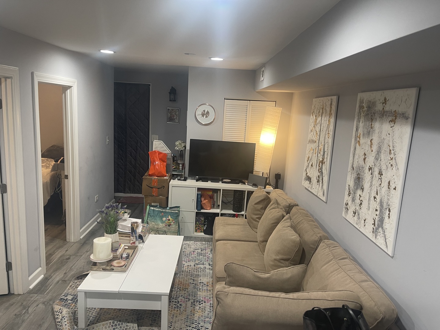 2213 South Oakley Avenue Chicago, IL 60608 - Photo 19 of 27 a living room with furniture and a flat screen tv