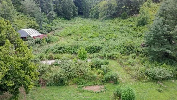 $196,000 | 440 Big Spring Hollow Road, Pulaski, TN 38478