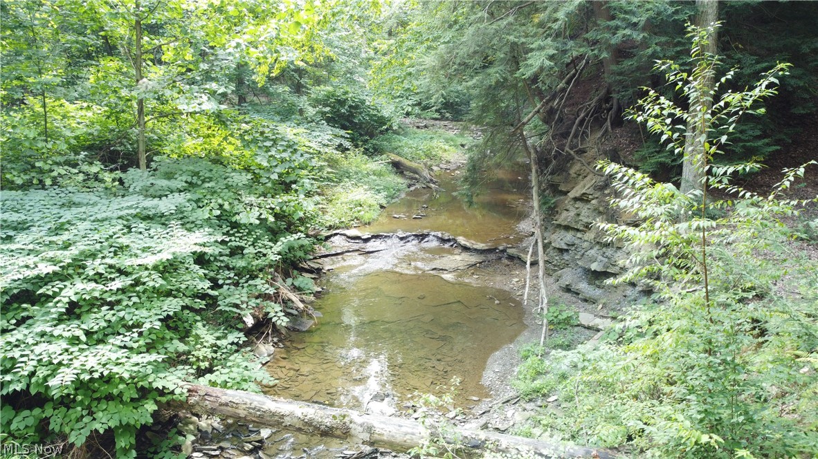 7130 Leroy Thompson Road Thompson, OH 44086 - Photo 33 of 47 Gallery Image 33