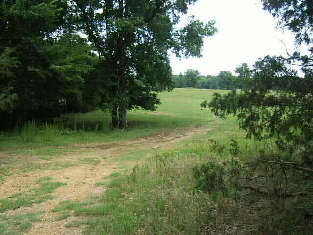 0 Cox Road Benton, MS 39039 - Photo 1 of 1 Photo 1