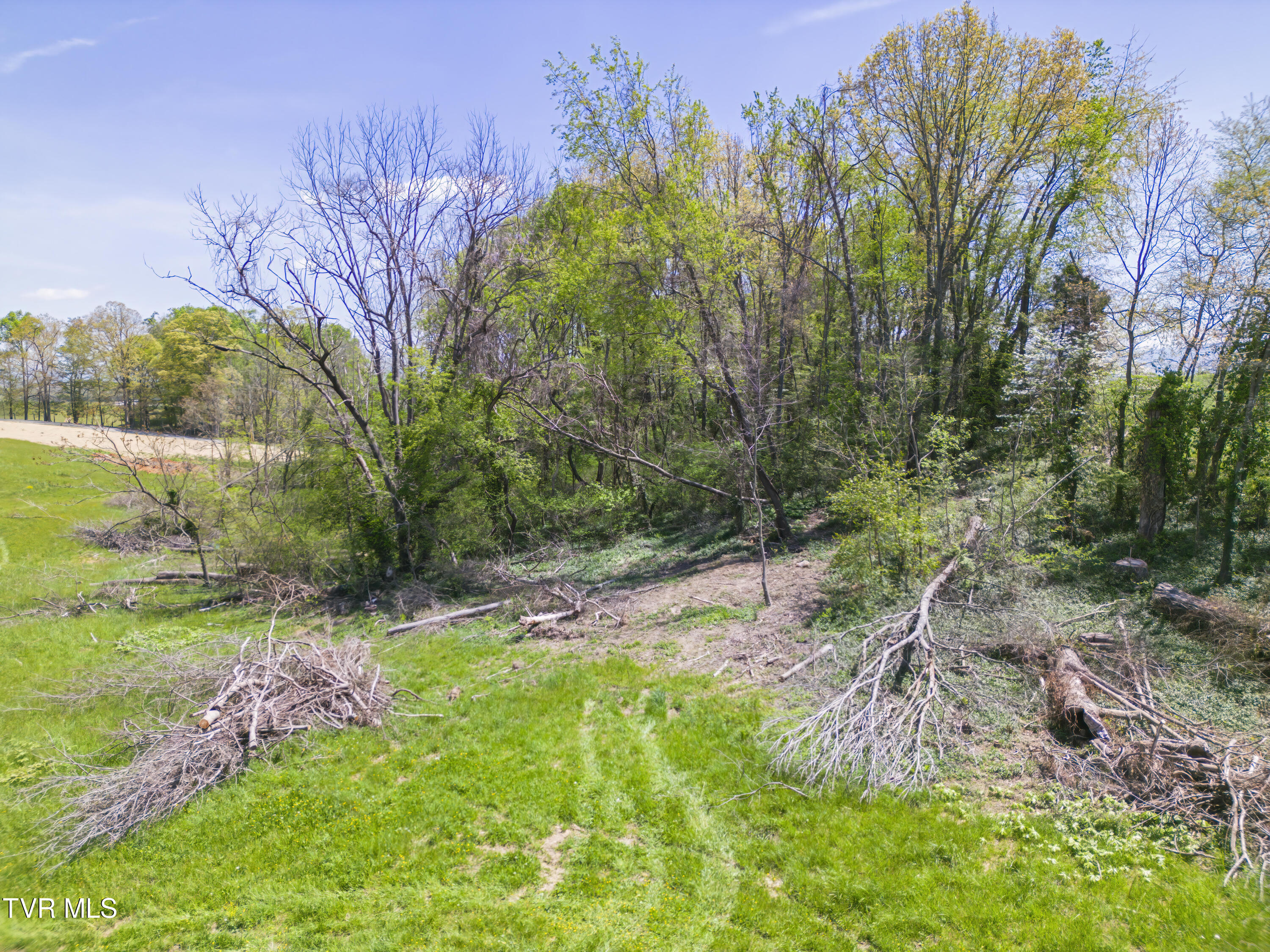 Tbd Bigwood Road Limestone, TN 37681 - Photo 7 of 12 Ground view