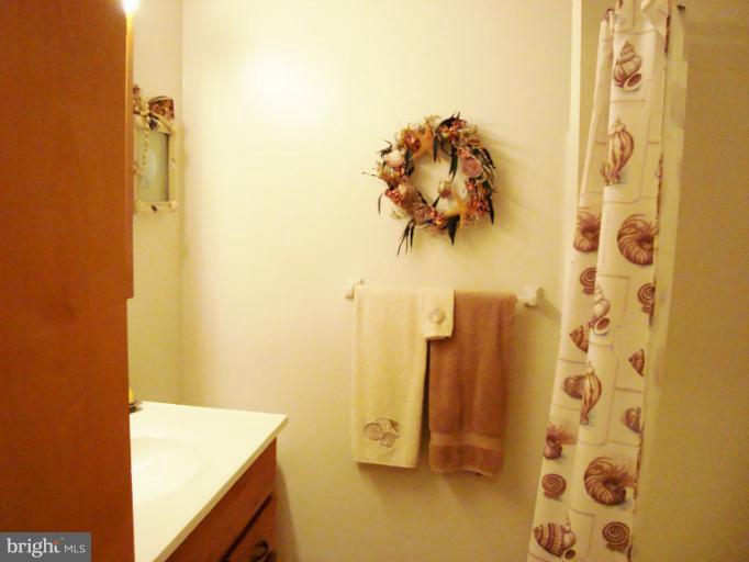 2708 Monocacy Bottom Road Adamstown, MD 21710 - Photo 5 of 30 Bath #2