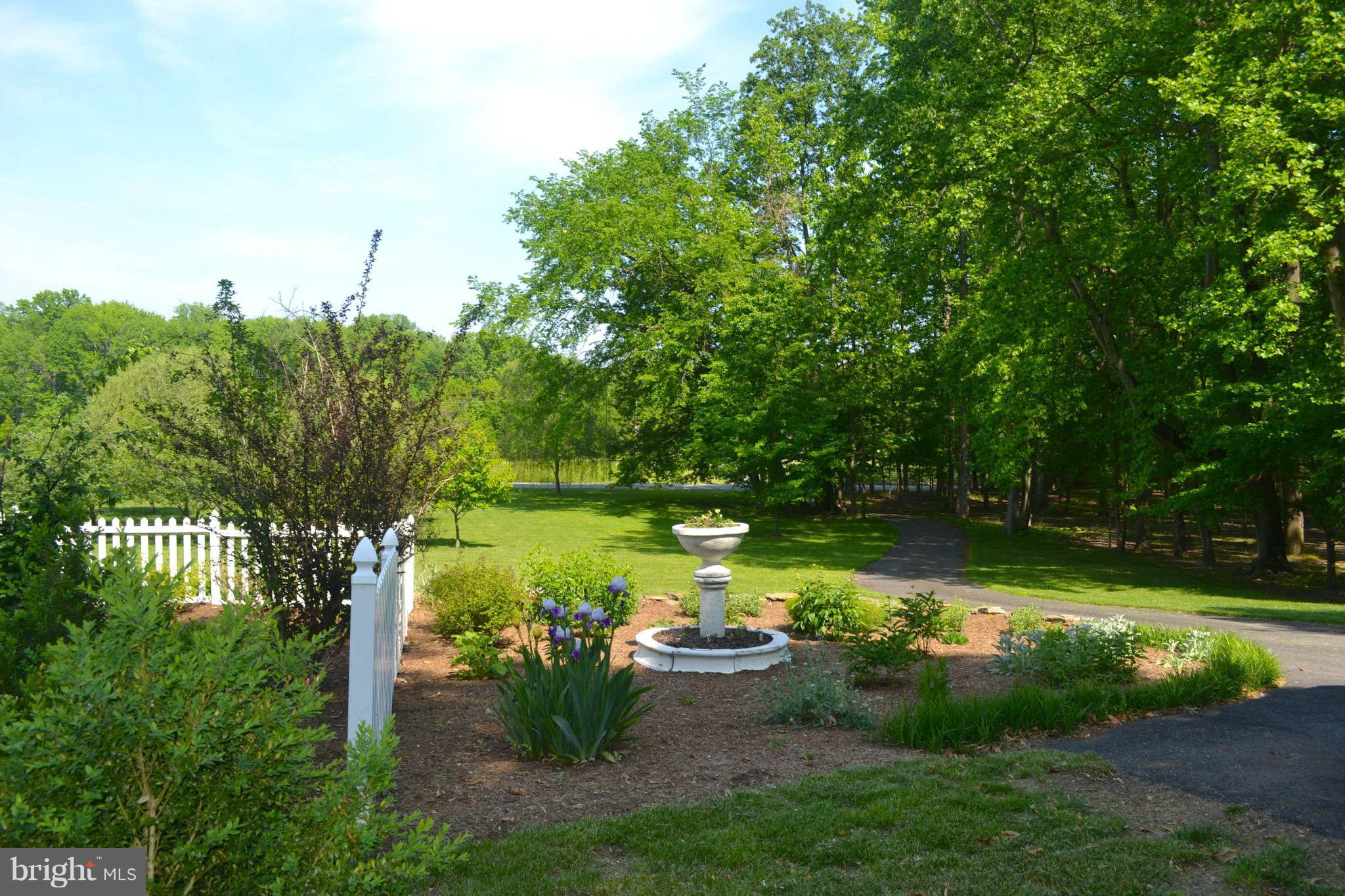 5580 Nutwell Sudley Road Deale, MD 20751 - Photo 27 of 30 Yard