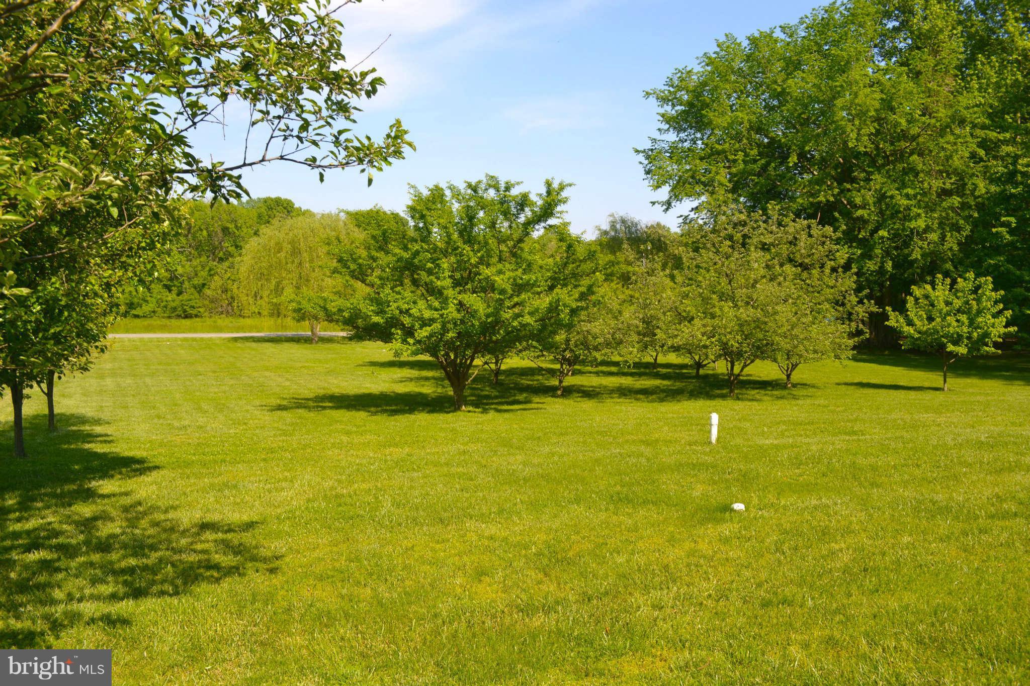 5580 Nutwell Sudley Road Deale, MD 20751 - Photo 28 of 30 Yard
