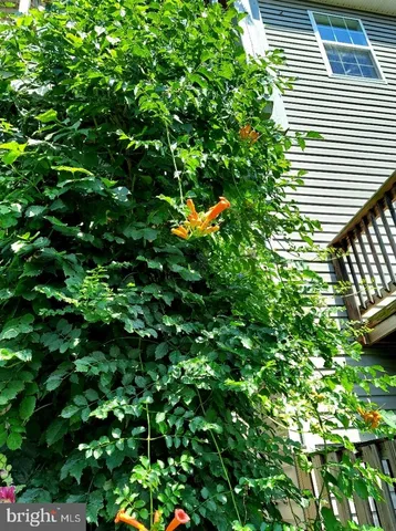 $300,000 | 134 Drexel Court, Martinsburg, WV 25404