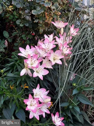 $300,000 | 134 Drexel Court, Martinsburg, WV 25404