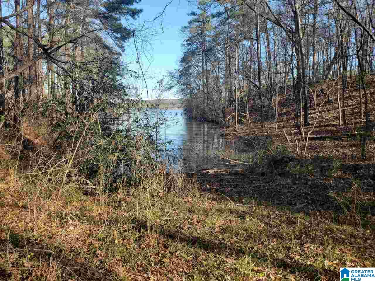 838 Davis Acres Drive, Unit 1 Alpine, AL 35014 - Photo 2 of 2