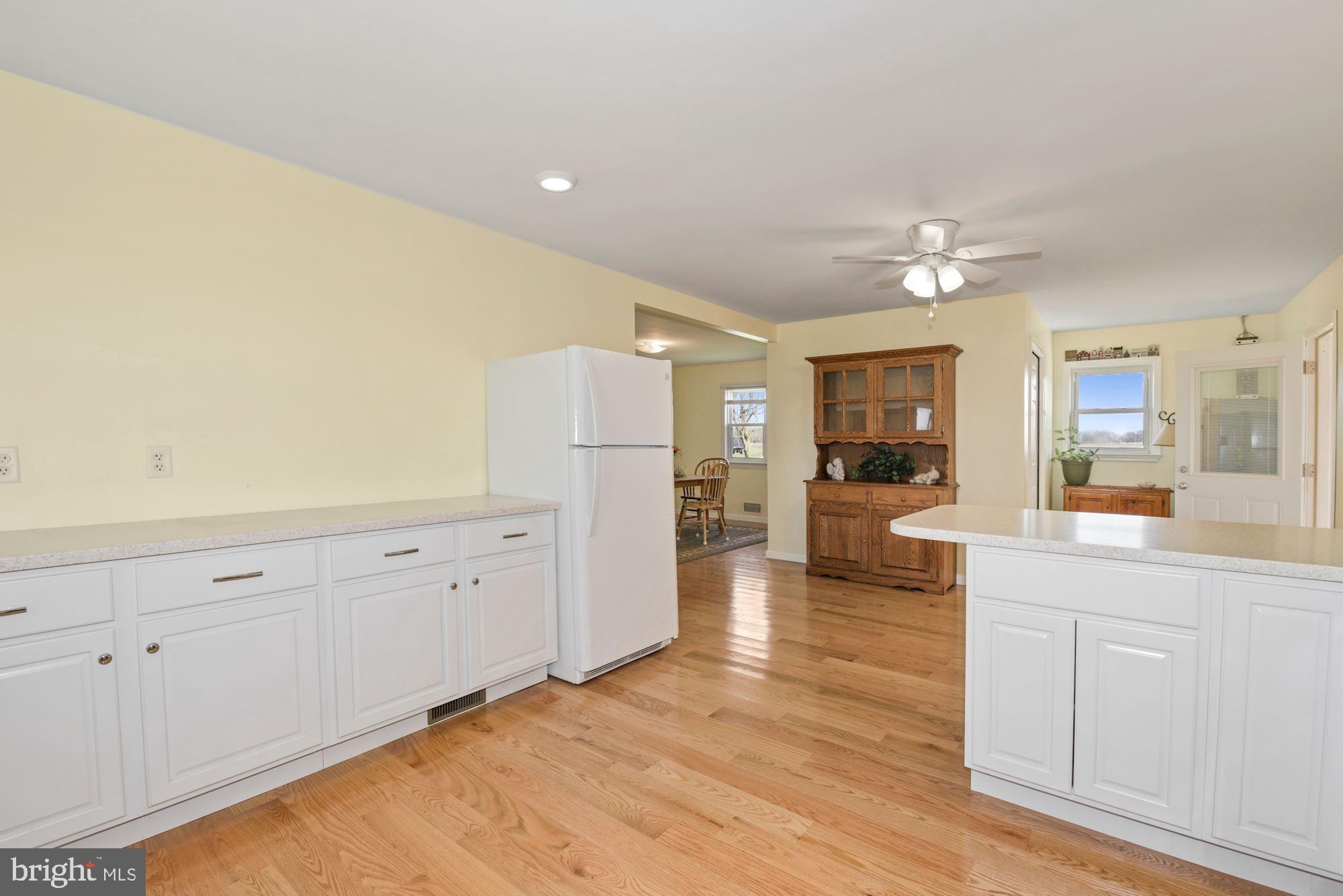 20299 Sand Hill Road Georgetown, DE 19947 - Photo 9 of 22 Expansive Kitchen