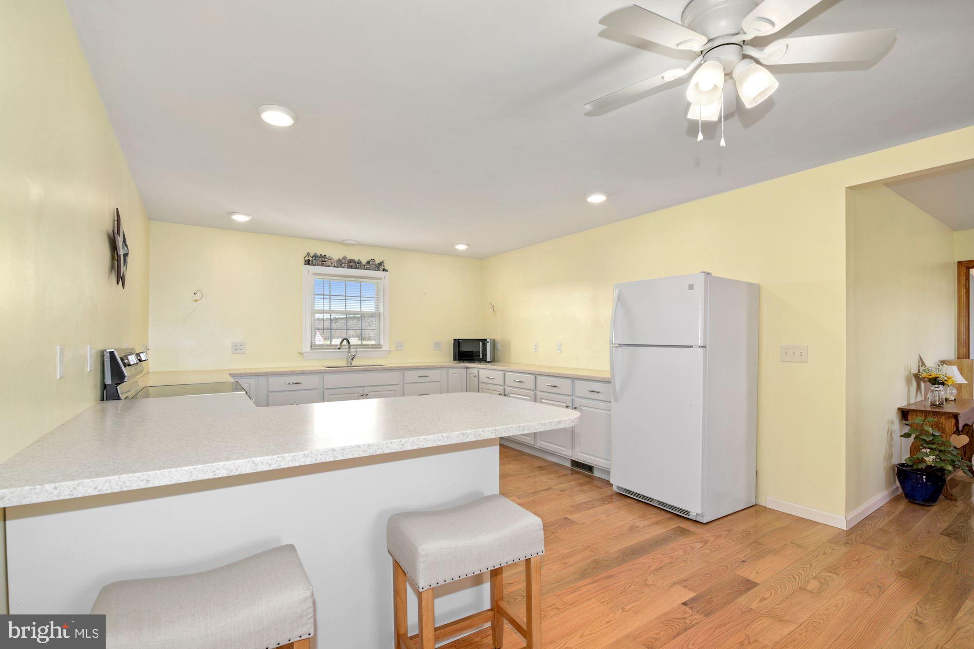 20299 Sand Hill Road Georgetown, DE 19947 - Photo 10 of 22 Expansive Kitchen with Breakfast Seating
