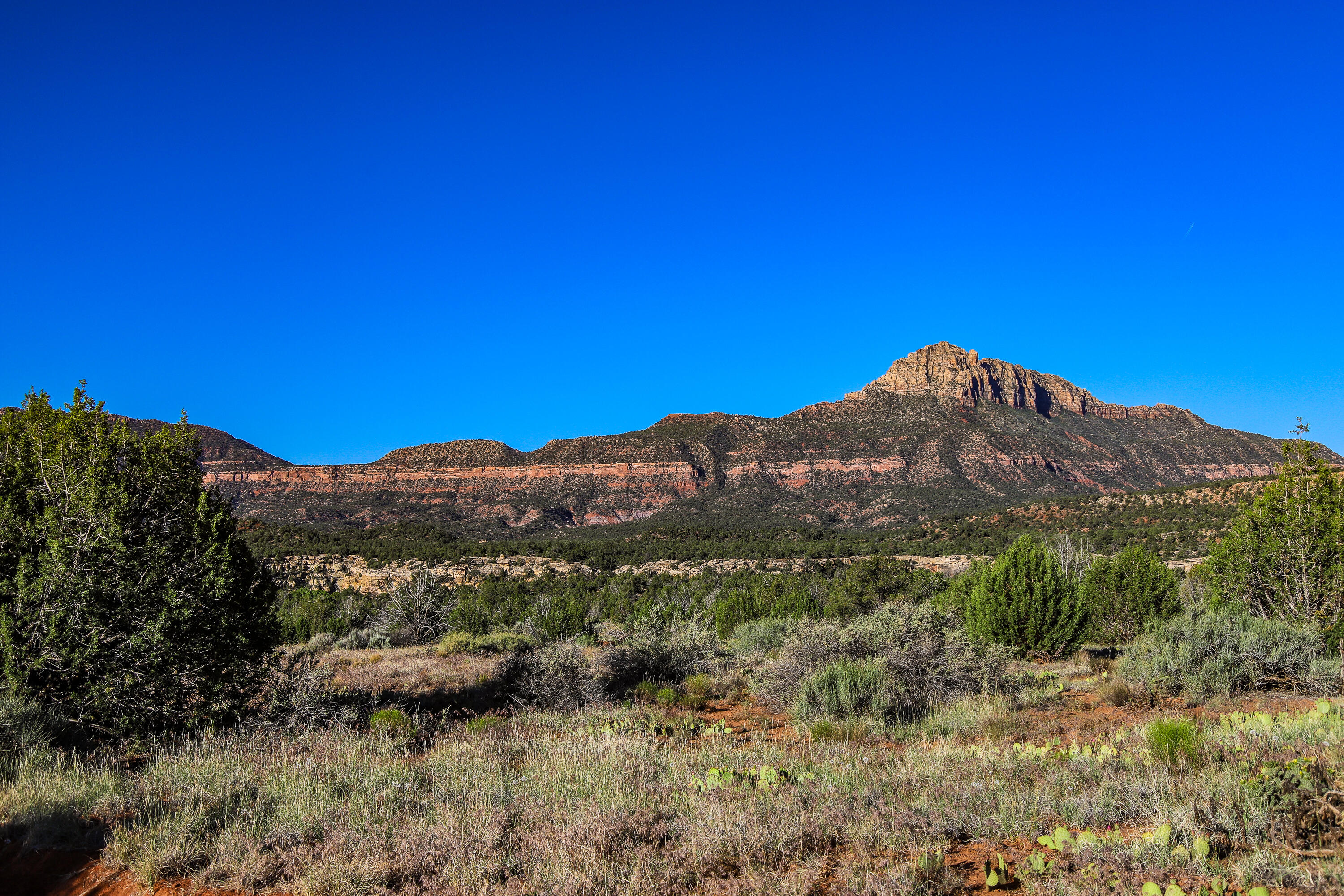 Carmel Road Rockville, UT 84763 - Photo 40 of 53 20260511-IMG_5376
