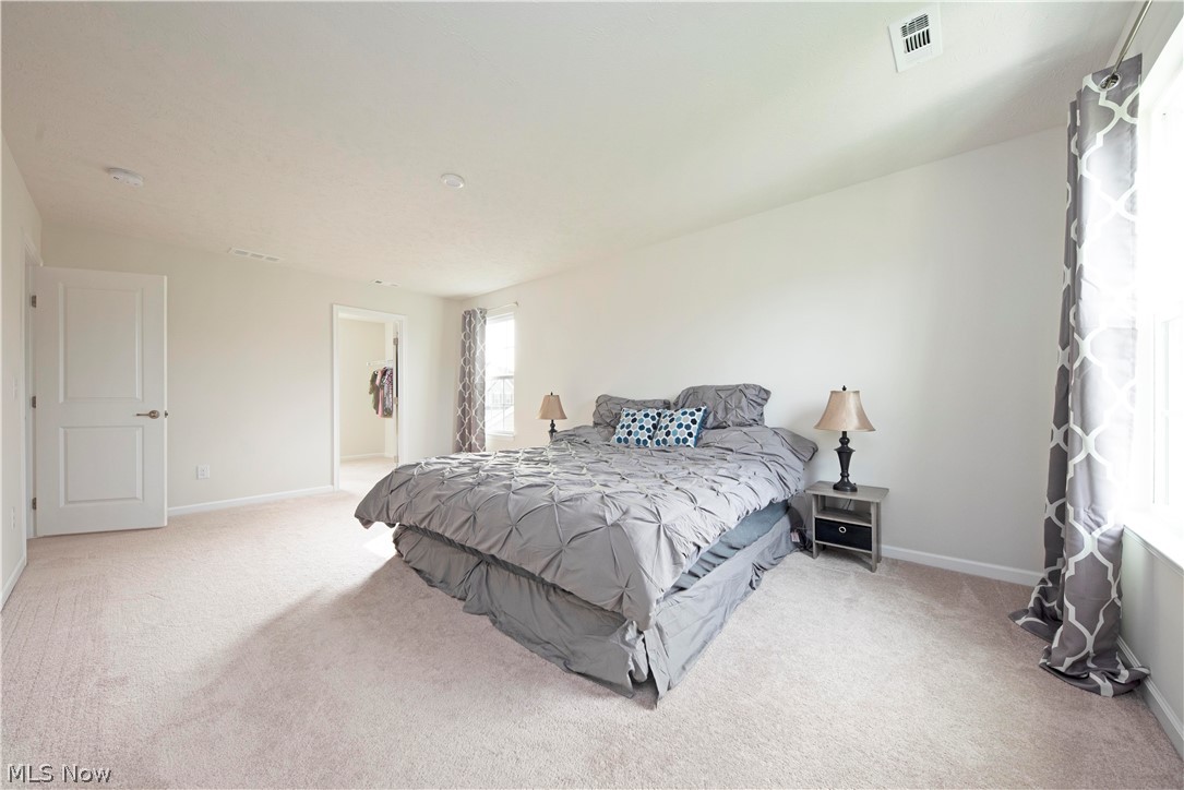 238 Stone Ridge Way Berea, OH 44017 - Photo 19 of 30 Master bedroom also features a walk-in closet.