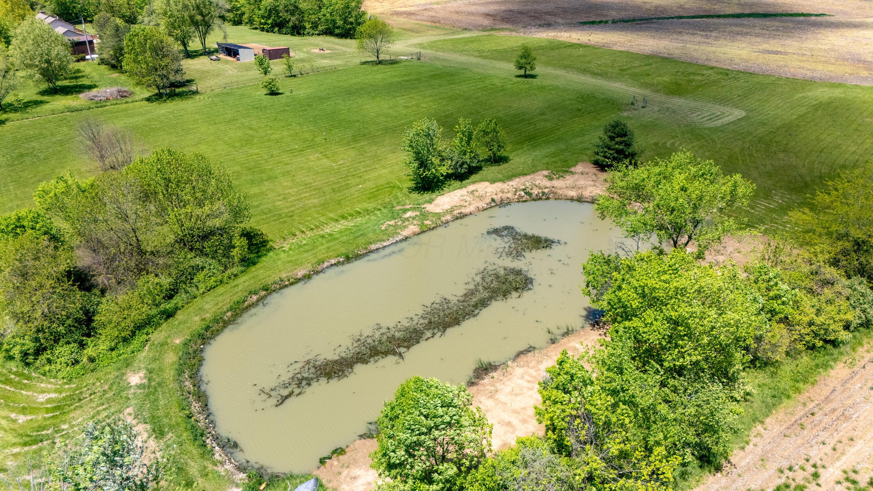 7684 Stout Road Circleville, OH 43113 - Photo 48 of 49 Pond2