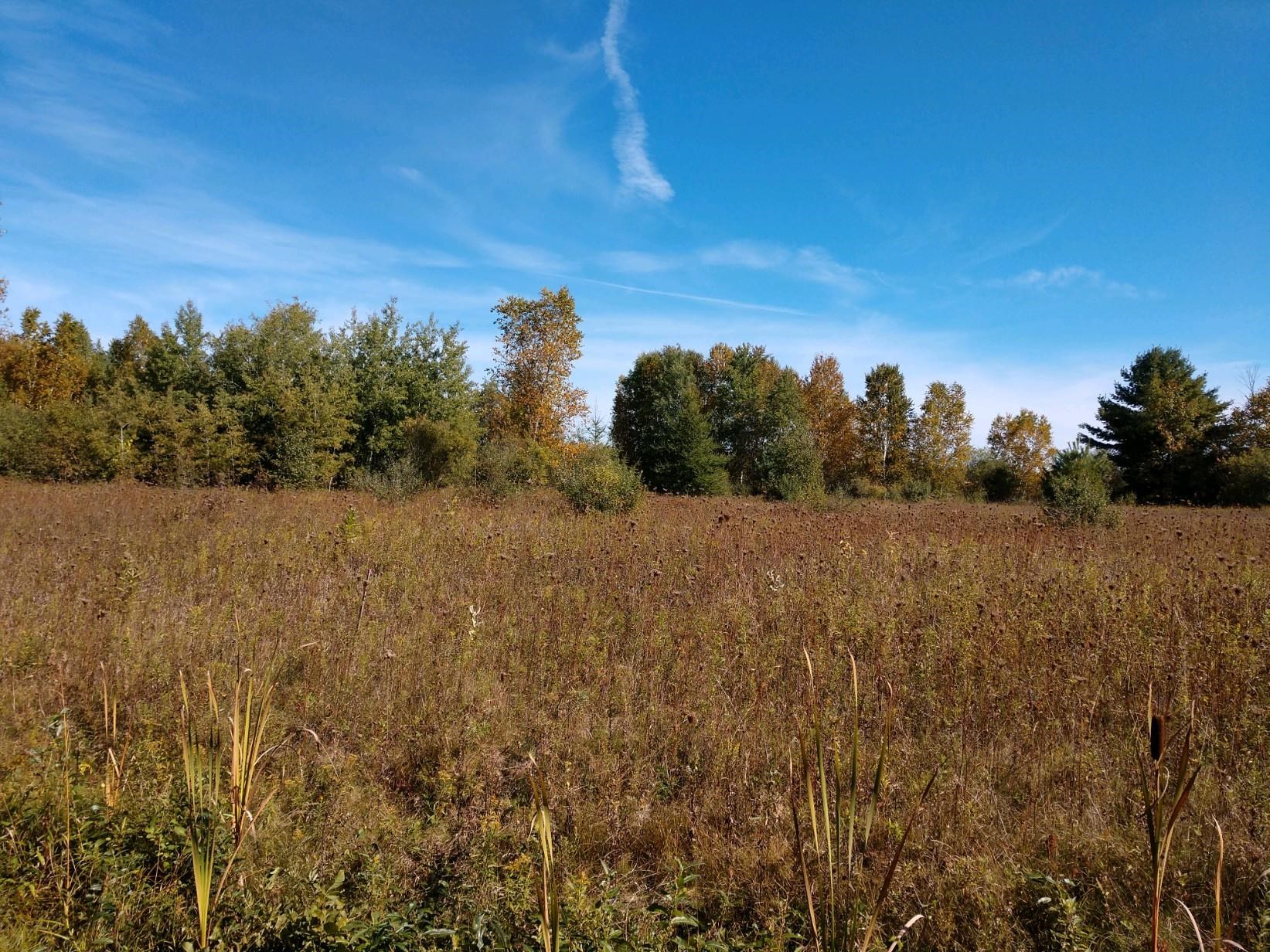 Parcel B Parcel B Putnam Hale, MI 48739 - Photo 3 of 6