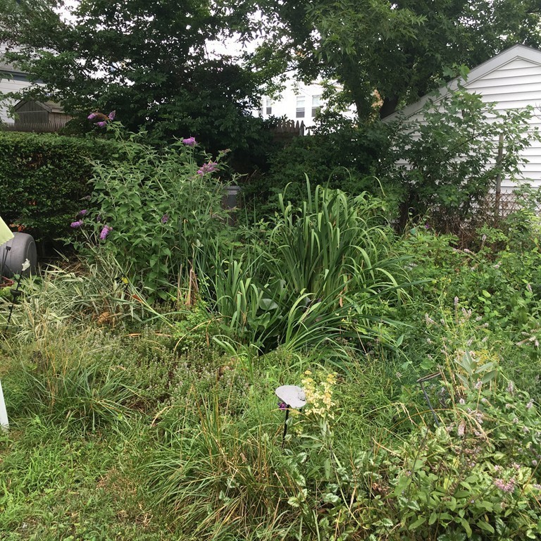 298 Grinnell Street Fall River, MA 02721 - Photo 8 of 13 Gallery Image 8