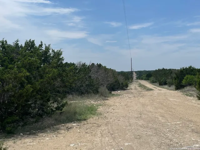 a view of a dry yard with trees in the background