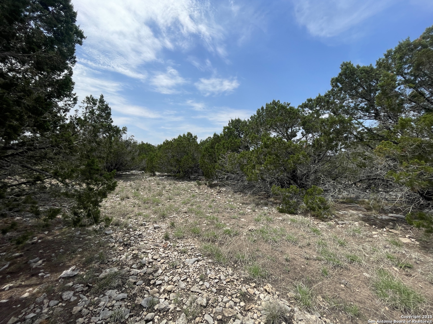 350 SD 23110 Rocksprings, TX 78880 - Photo 11 of 15 a view of a yard with a tree