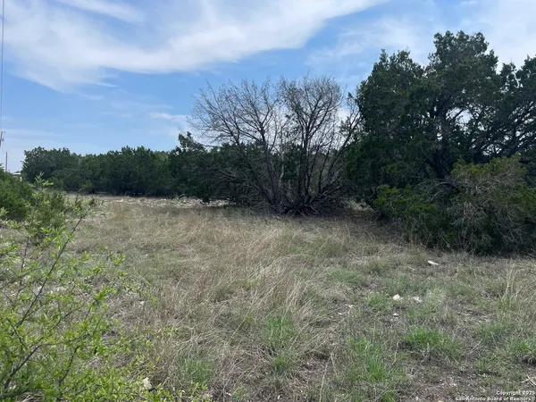 a view of a field with trees in the background