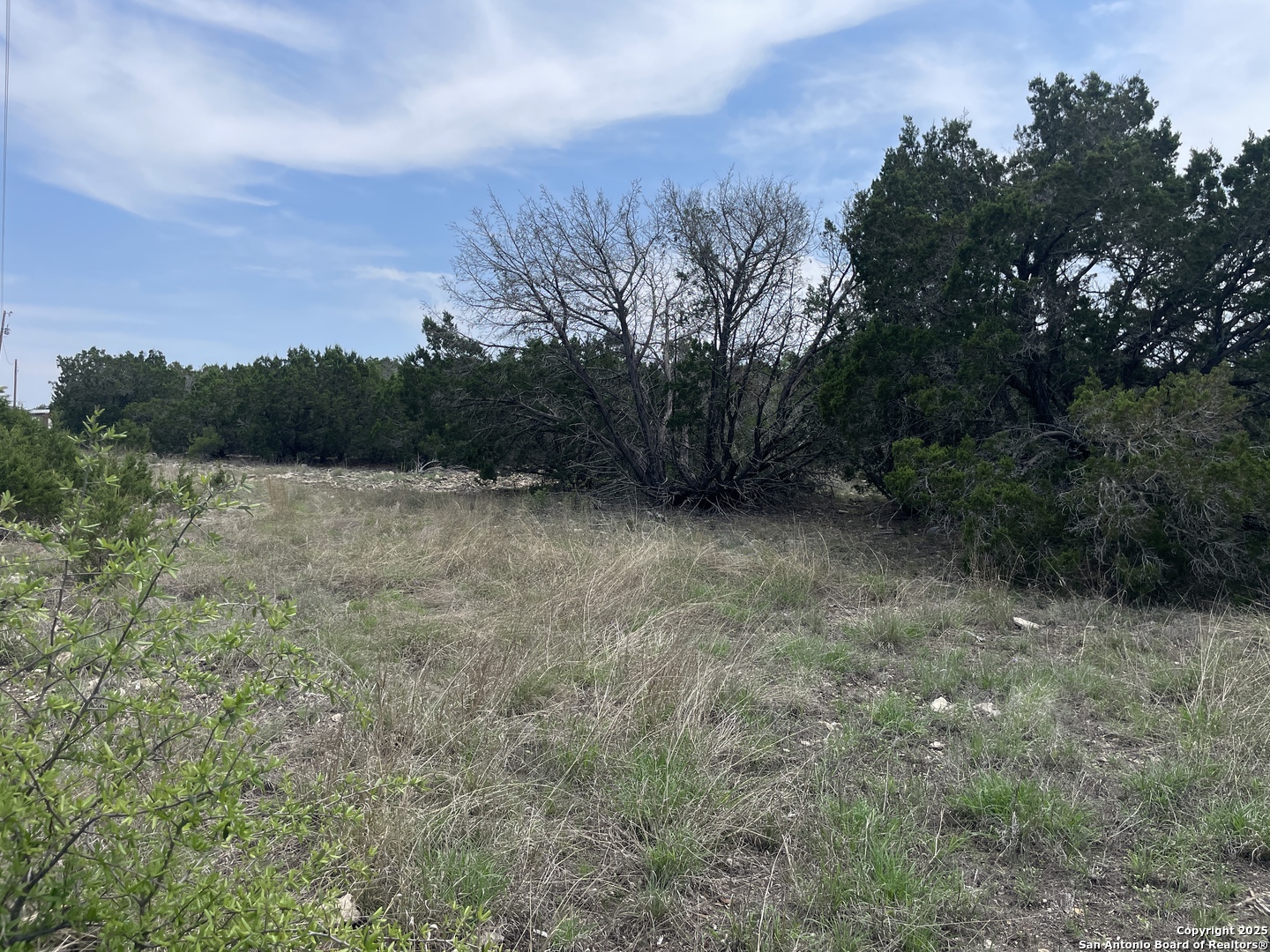 350 SD 23110 Rocksprings, TX 78880 - Photo 12 of 15 a view of a field with trees in the background