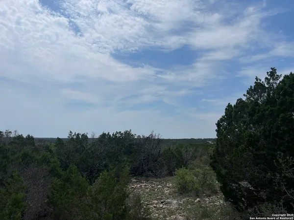 a view of a bunch of trees in a field