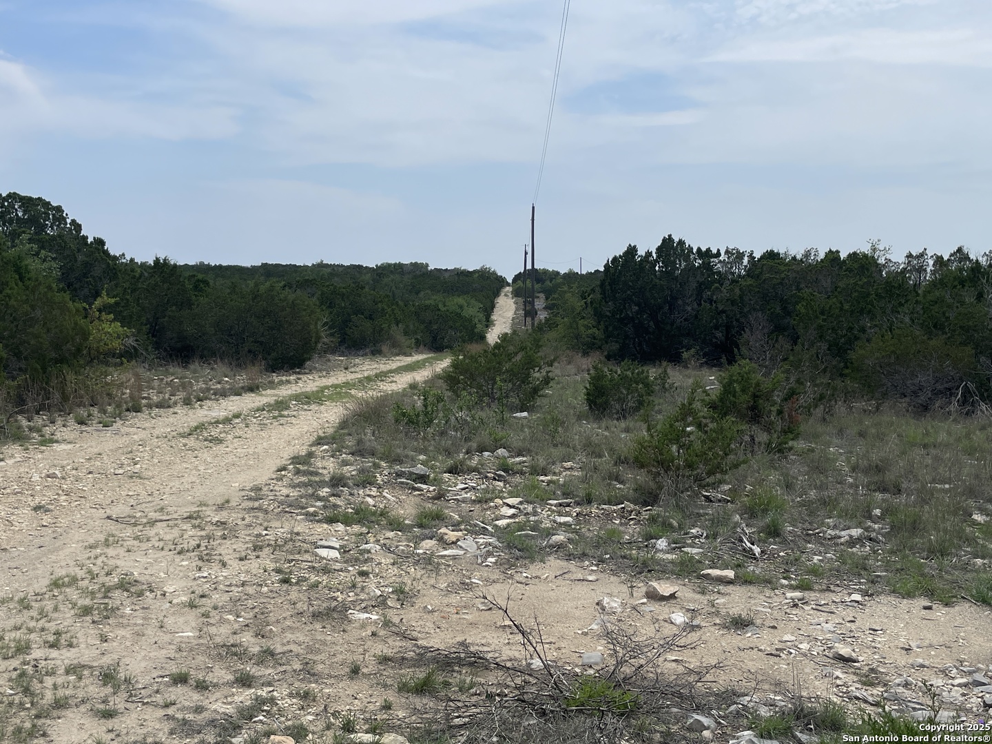 350 SD 23110 Rocksprings, TX 78880 - Photo 2 of 15 a view of a dry yard with trees