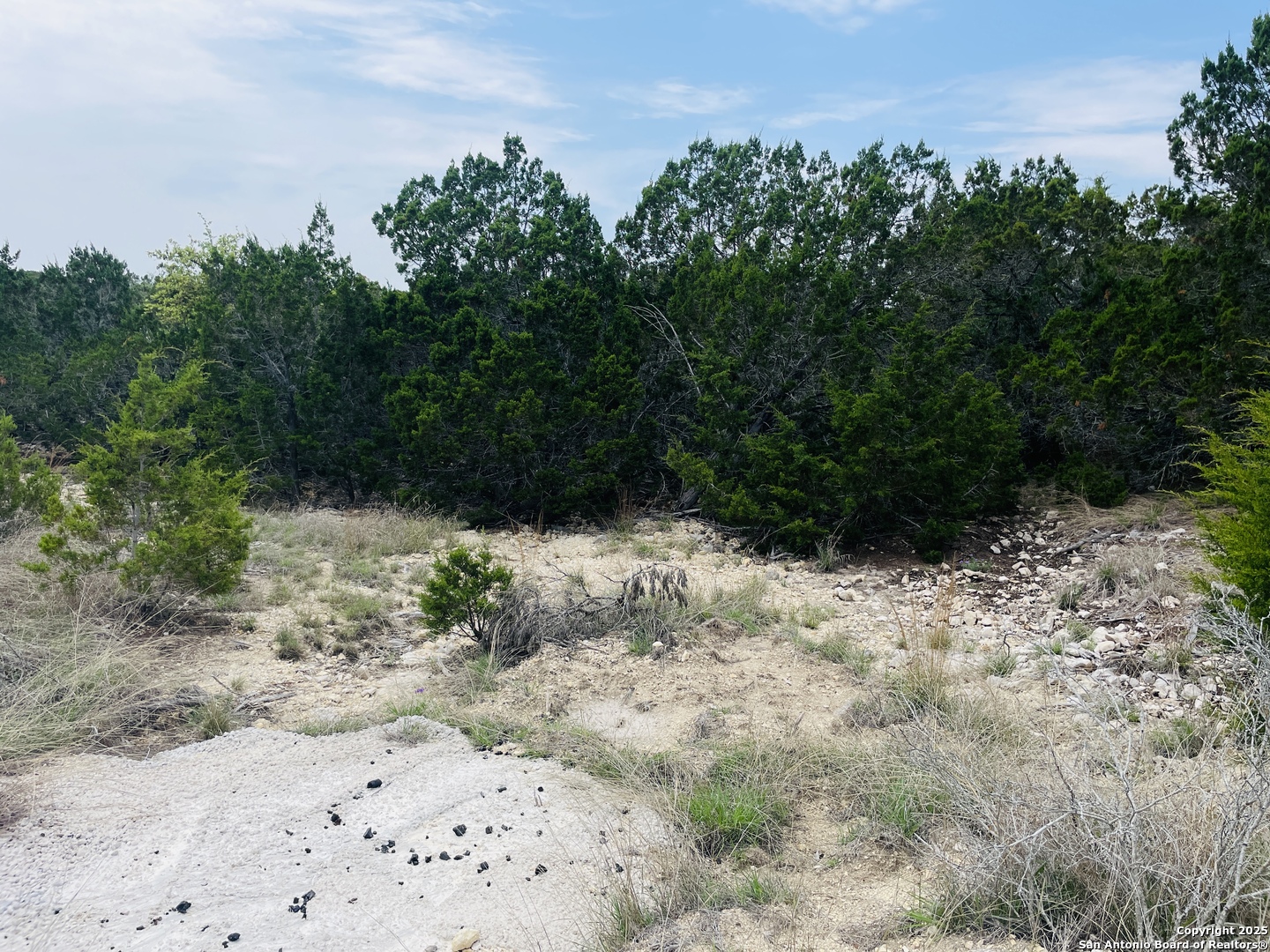 350 SD 23110 Rocksprings, TX 78880 - Photo 4 of 15 a view of a yard with plants and trees