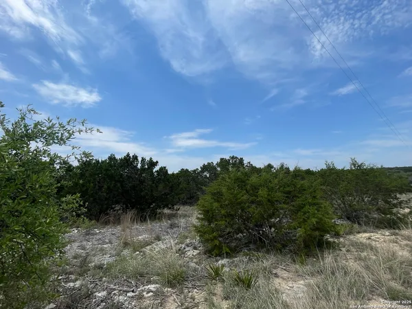 a view of a bunch of trees in a field