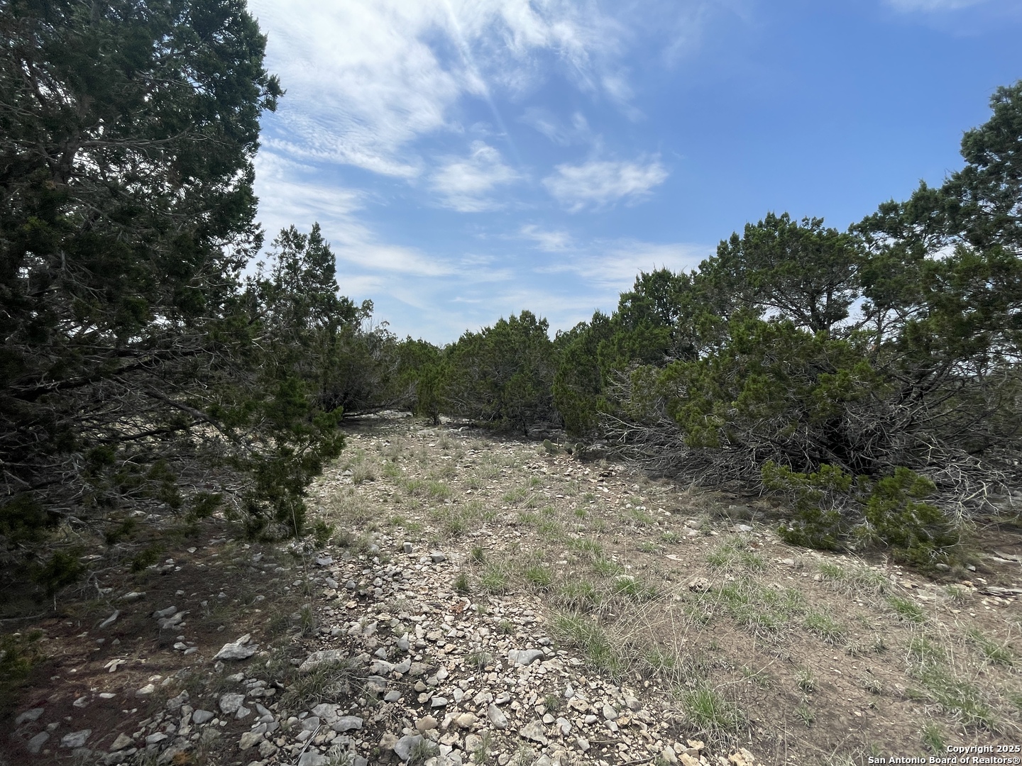 350 SD 23110 Rocksprings, TX 78880 - Photo 8 of 15 a view of a yard with a tree