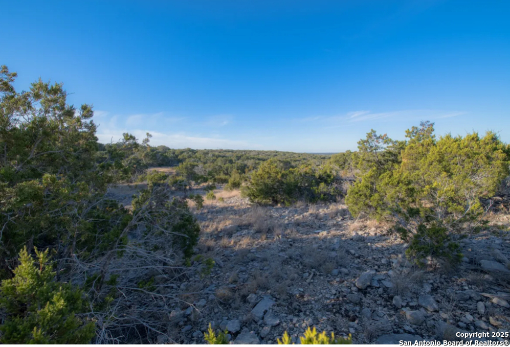 350 SD 23110 Rocksprings, TX 78880 - Photo 9 of 15 a view of a yard with a tree