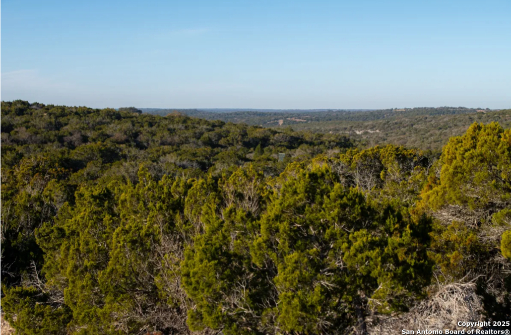 350 SD 23110 Rocksprings, TX 78880 - Photo 10 of 15 an aerial view of houses covered in trees