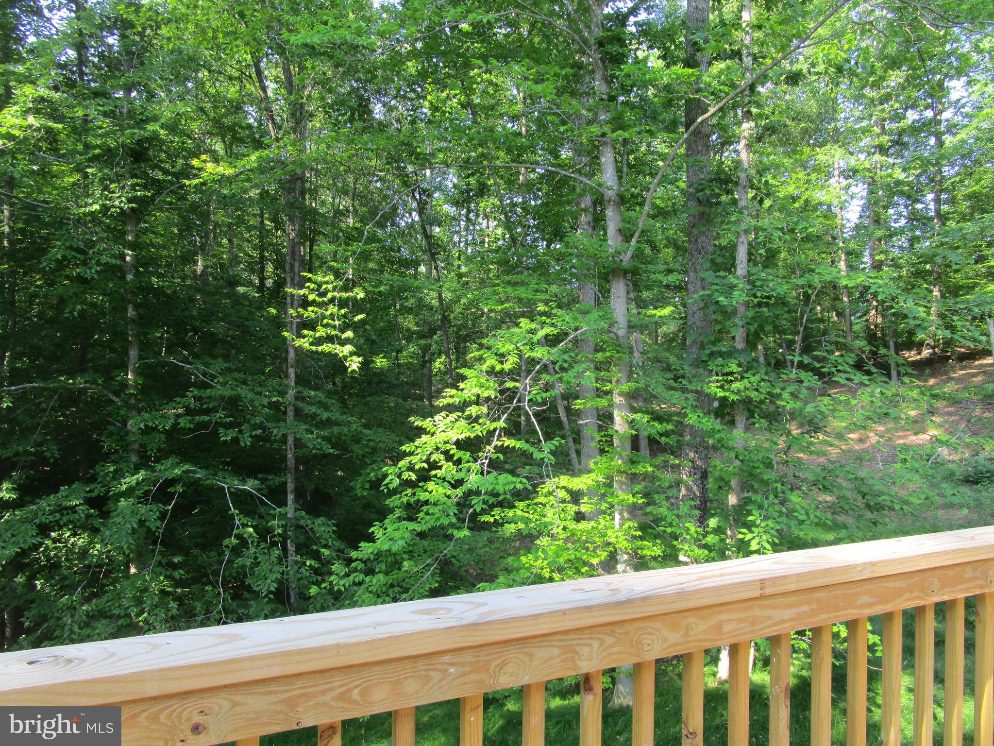 6894 Courthouse Road Louisa, VA 23093 - Photo 4 of 17