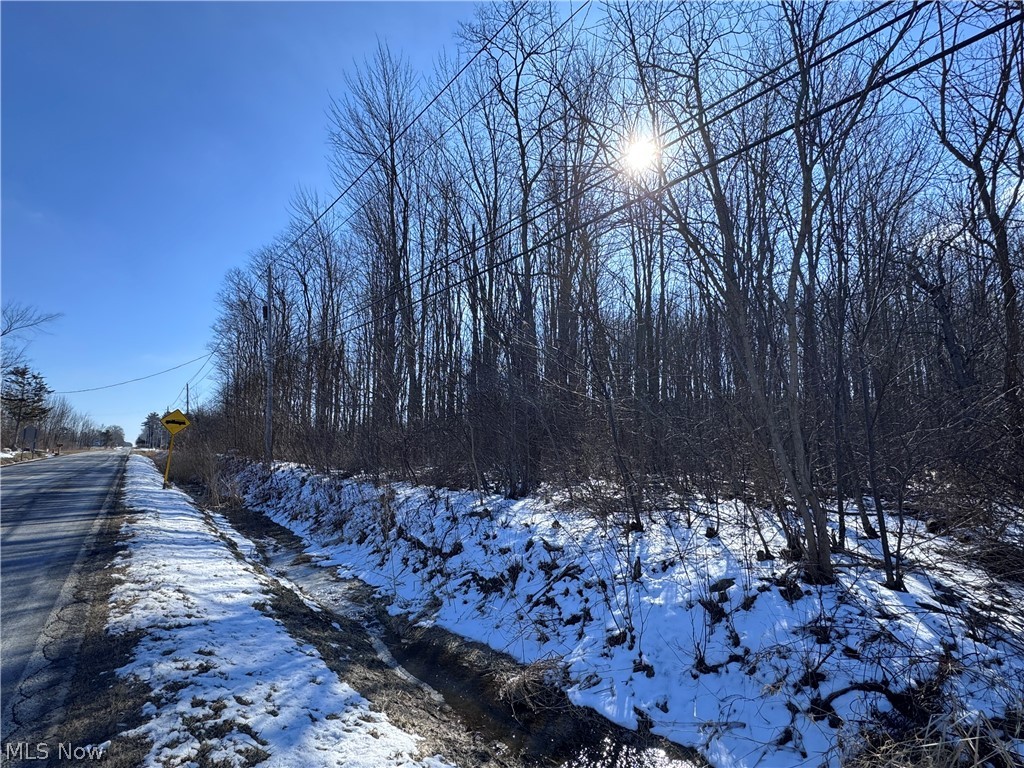 2 Leroy Center Road Painesville, OH 44077 - Photo 1 of 18 Gallery Image 1