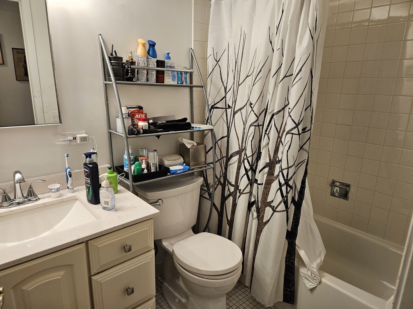 2150 Bouterse Street, Unit 106 Park Ridge, IL 60068 - Photo 16 of 25 a bathroom with a sink a toilet and shower curtain