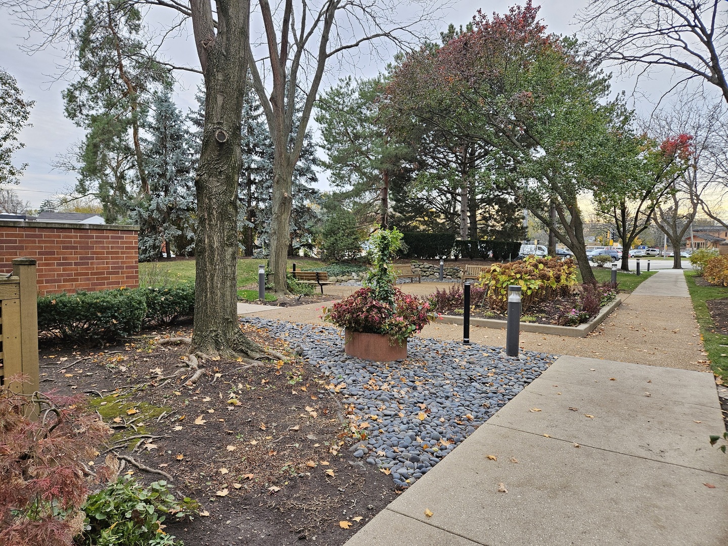 2150 Bouterse Street, Unit 106 Park Ridge, IL 60068 - Photo 6 of 25 a view of a yard with plants and trees