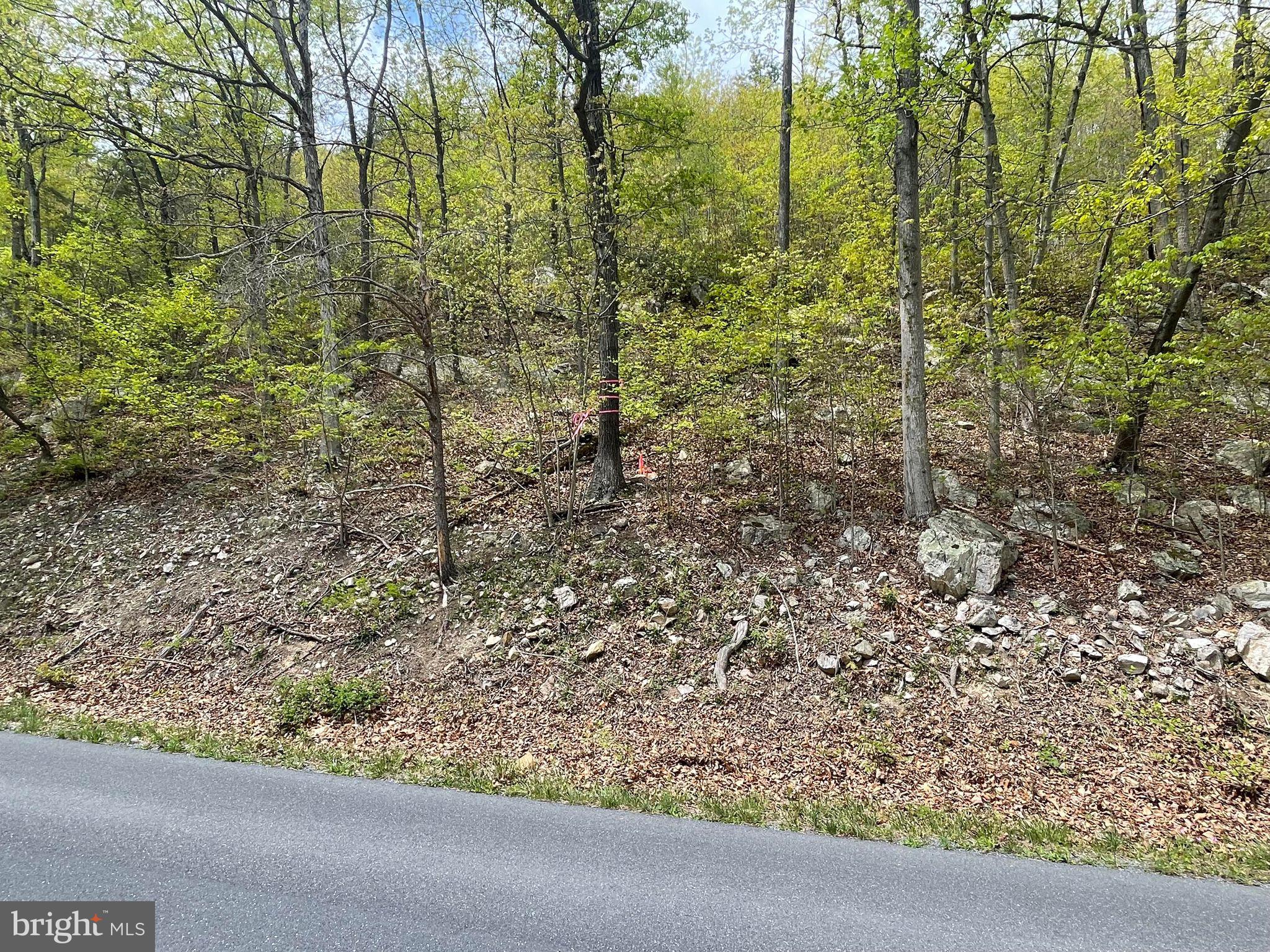 0 Keystone Road Stanley, VA 22851 - Photo 1 of 2 Gallery Image 1