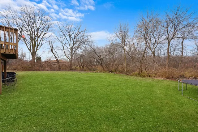 a backyard of a house with lots of green space