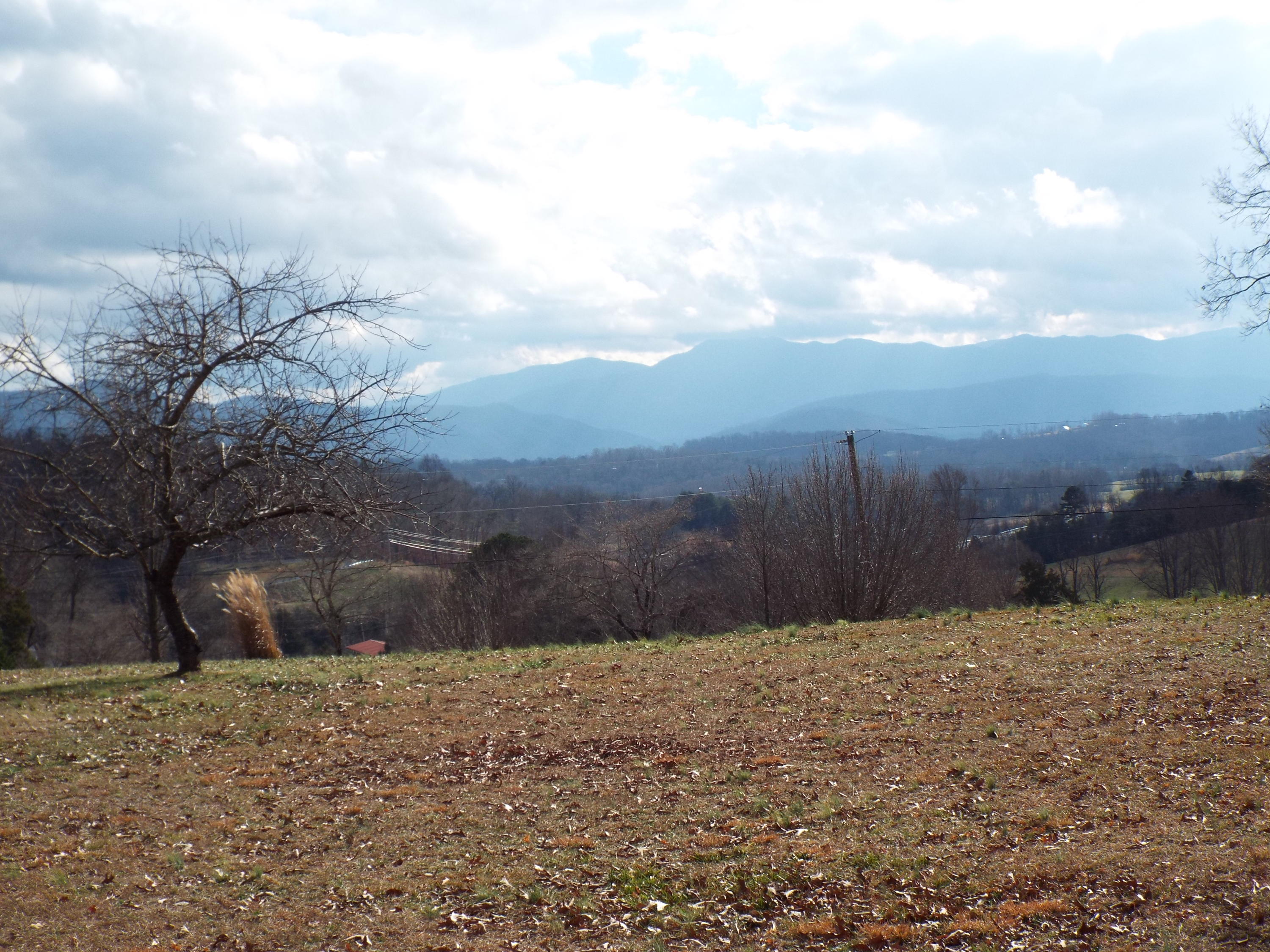 665 Epley Road Newport, TN 37821 - Photo 30 of 33 DSCF2654