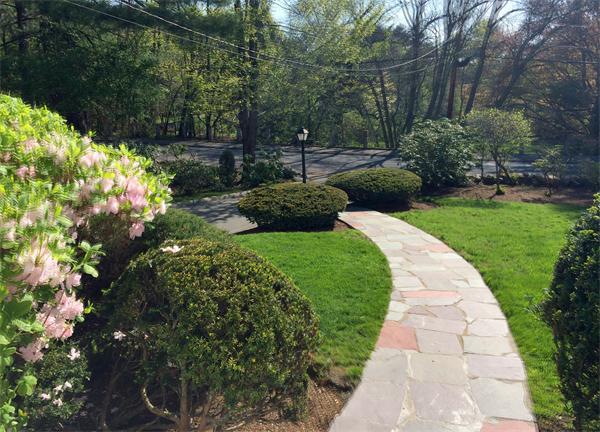 1129 Webster Street Needham, MA 02492 - Photo 22 of 22 Gallery Image 22