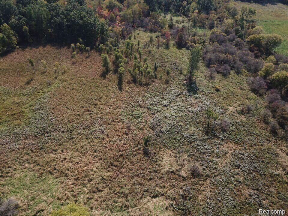 0 Beard Road Byron, MI 48418 - Photo 2 of 3