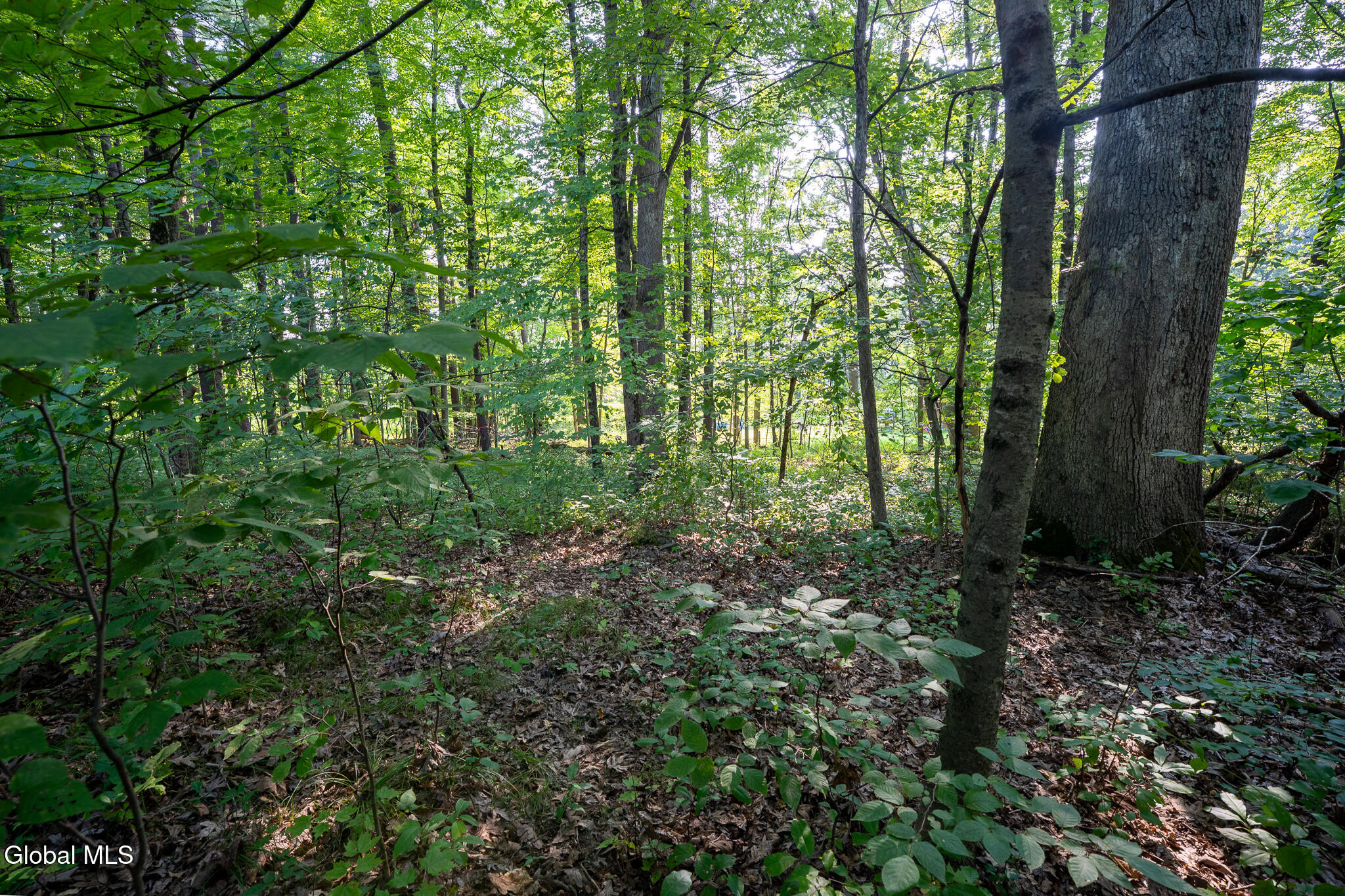 47 Wheeler Road Bethlehem, NY 12077 - Photo 4 of 10 DSC09226-HDR