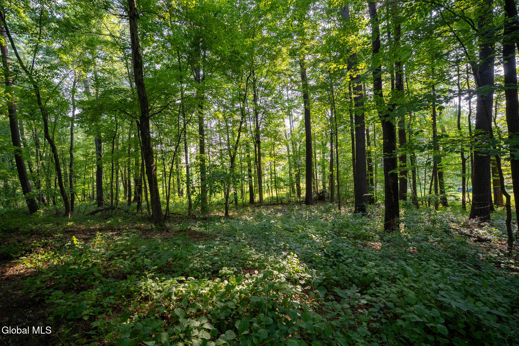 47 Wheeler Road Bethlehem, NY 12077 - Photo 5 of 10 DSC09231-HDR