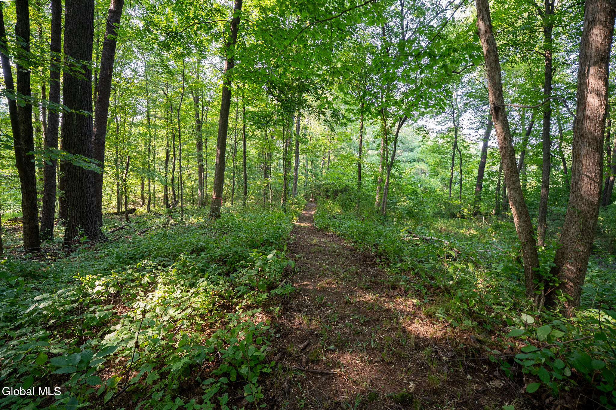 47 Wheeler Road Bethlehem, NY 12077 - Photo 6 of 10 DSC09236-HDR