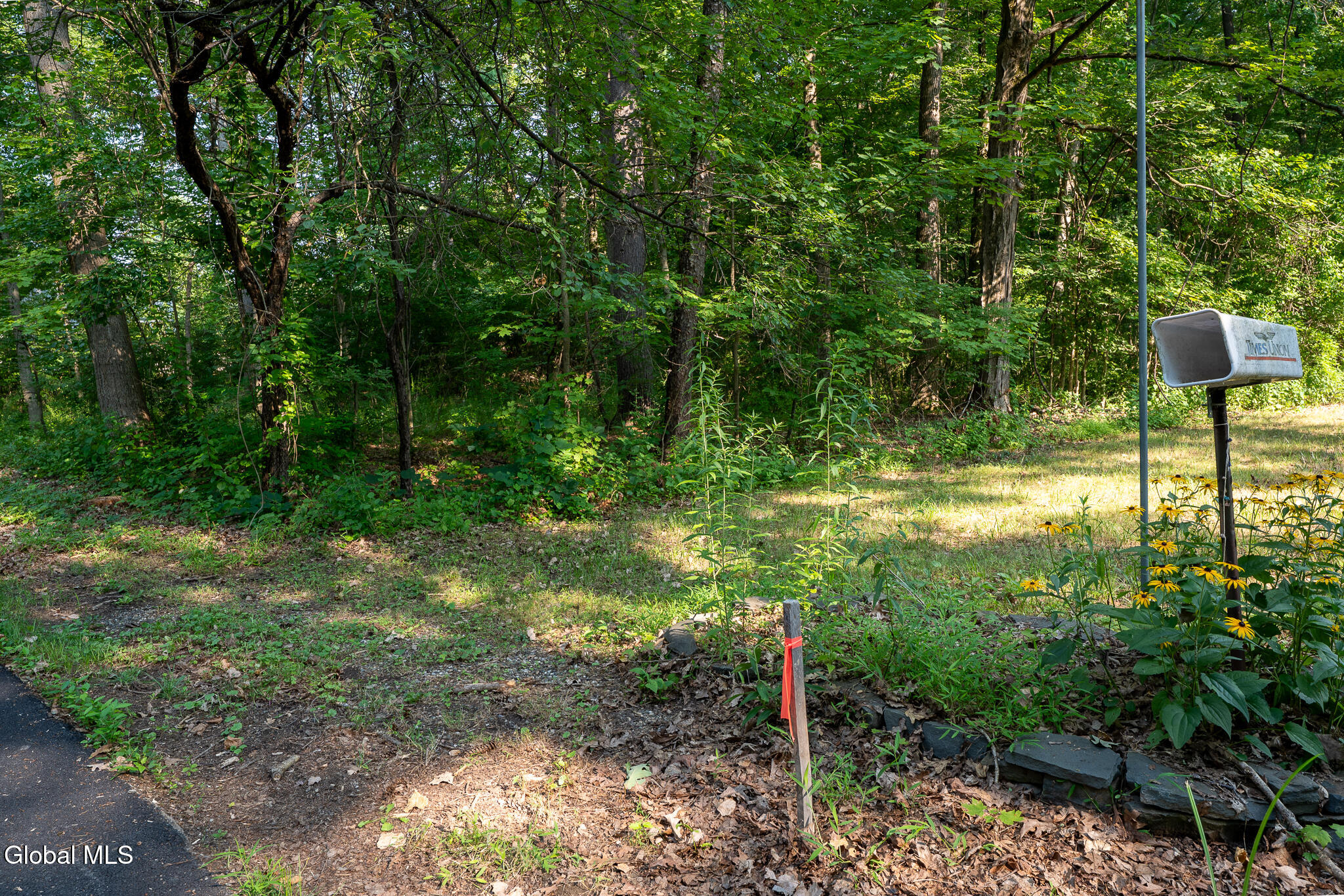 47 Wheeler Road Bethlehem, NY 12077 - Photo 7 of 10 DSC09241-HDR