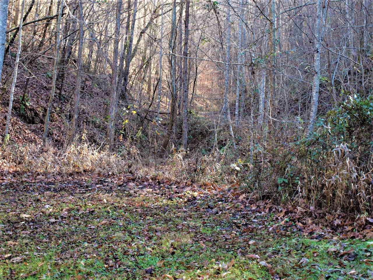 344 Garnet Cemetery Road Green Road, KY 40946 - Photo 12 of 30 Photo 12