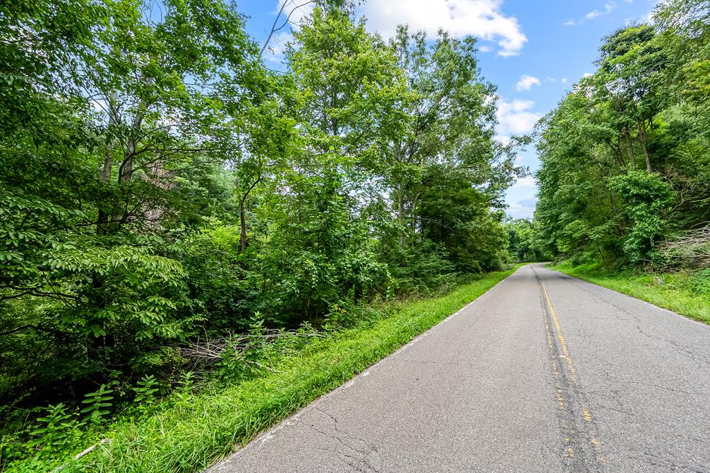 0 Canning Factory Road Southwest, Unit 659 Floyd, VA 24091 - Photo 48 of 49 Gallery Image 48