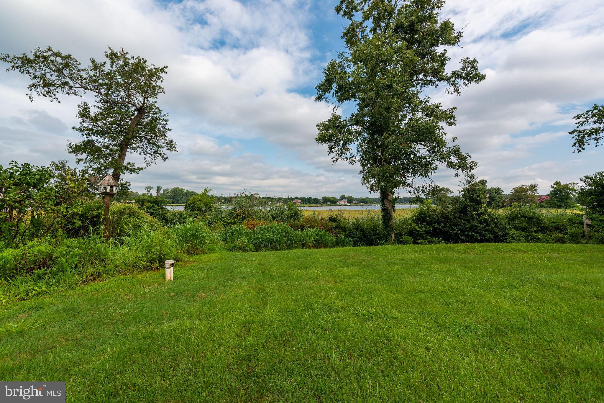 140 Riverview Drive Dagsboro, DE 19939 - Photo 45 of 48