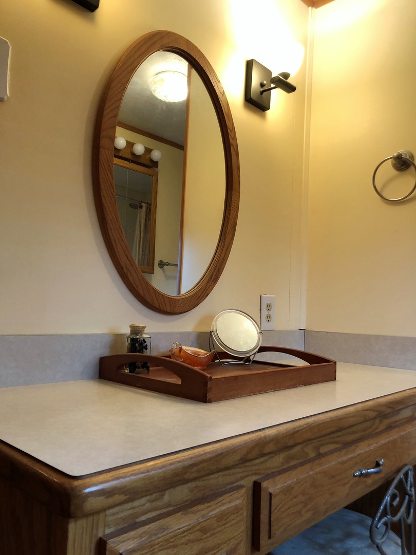 715 Water Street Joliet, IL 60436 - Photo 17 of 21 a bathroom with a sink and a mirror
