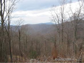 2 Chimney Ridge Clyde, NC 28721 - Photo 1 of 6 a view of a yard